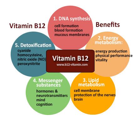 維生素B12有什麼功效值得期待？