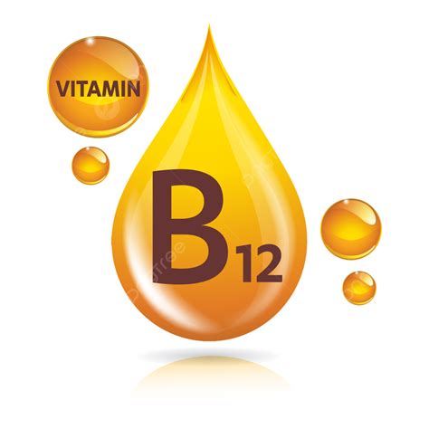 日本b12推薦有哪些品牌值得關注？